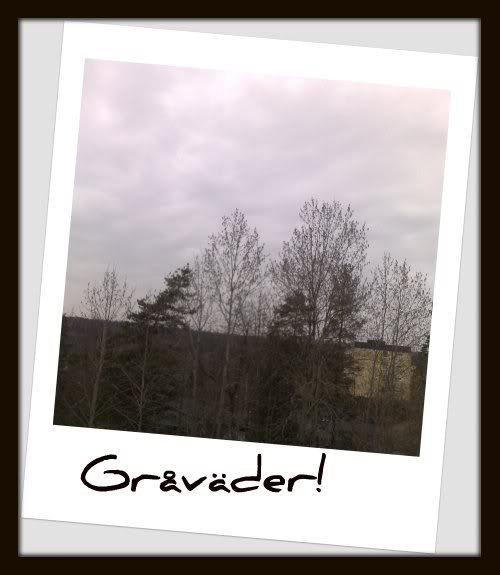 Grvder.jpg picture by suzanders