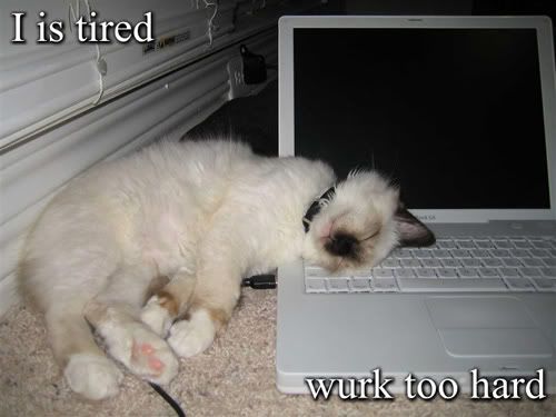 i-is-tired-wurk-too-hard.jpg picture by suzanders