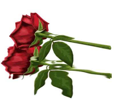 roses579.gif rosa roja image by becky0_2007