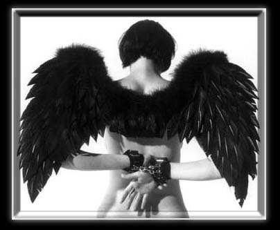 angelwithblackwings8wj6hh1.jpg