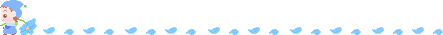 barra29dm.gif