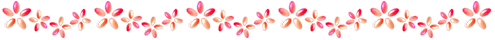 barra33jp.gif