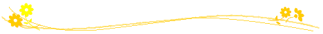 barra35fd.gif