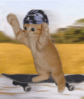 dyn006original280328gifnh0.gif