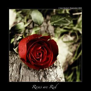 rosesareredbyisacgbm11fc6.jpg
