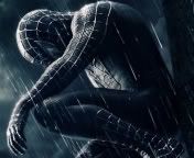 spiderman1db.jpg
