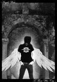th93440_26_122_557lo.jpg