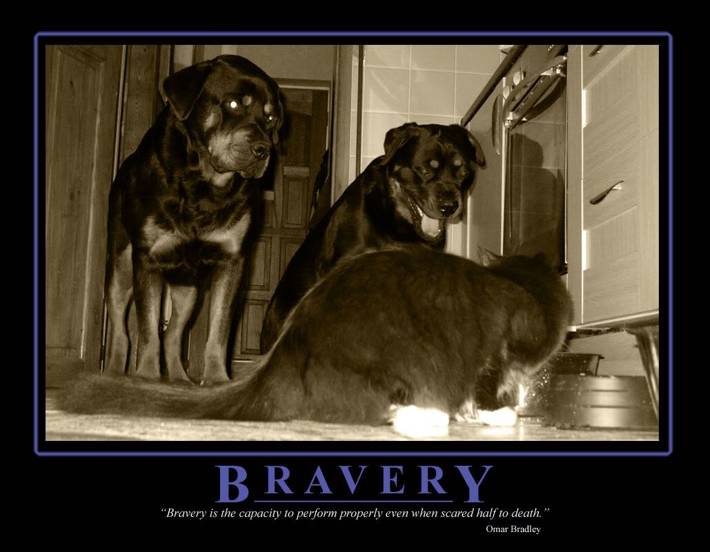 Bravery.jpg
