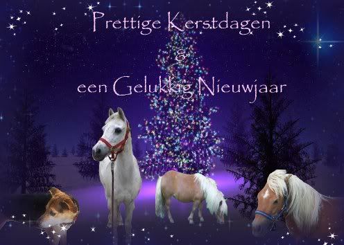 [img width=496 height=354]http://i228.photobucket.com/albums/ee265/sjoukjemolly/kerstkaartfricopetramollyenjenny.jpg[/img]