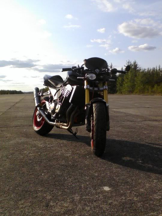 http://i228.photobucket.com/albums/ee28/yanhks/zeder.jpg