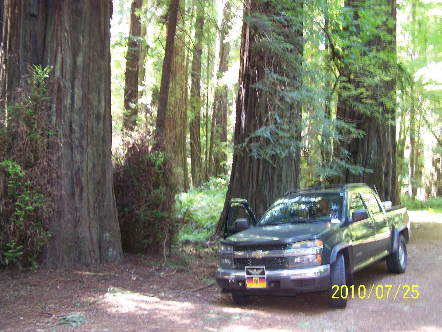 100_1901.jpg In the Redwoods