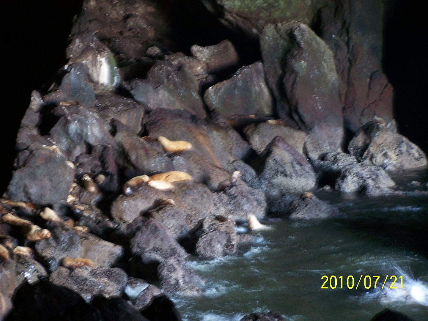 000_0133.jpg Seal Cave