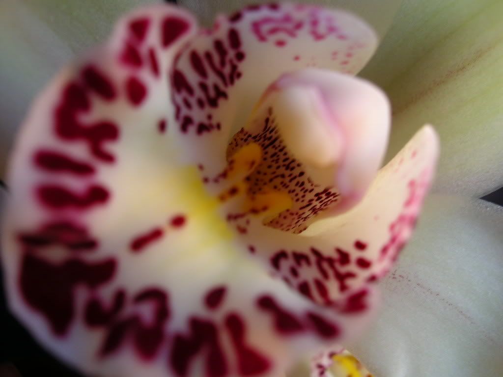 DSCN1689.jpg
