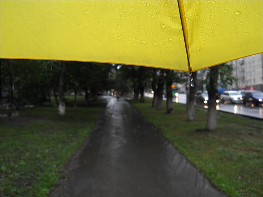 Уютно смотреть на дождливый мир из-под зонтика (фото Wesaus)