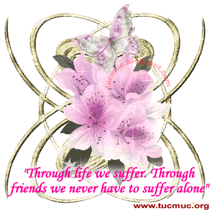 Friendship Flower Cards 