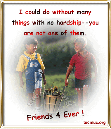 Friends Forever Cards 