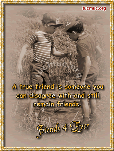 Friends Forever Cards 