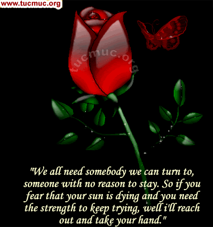 Roses For Friends Graphics 