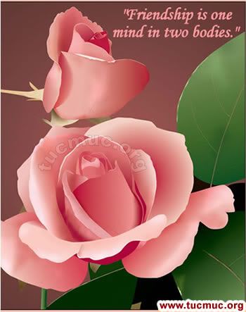 Roses For Friends Graphics 