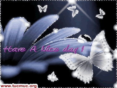 Nice Day Comments 