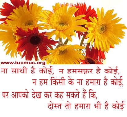 Friendship Shayari Scraps 