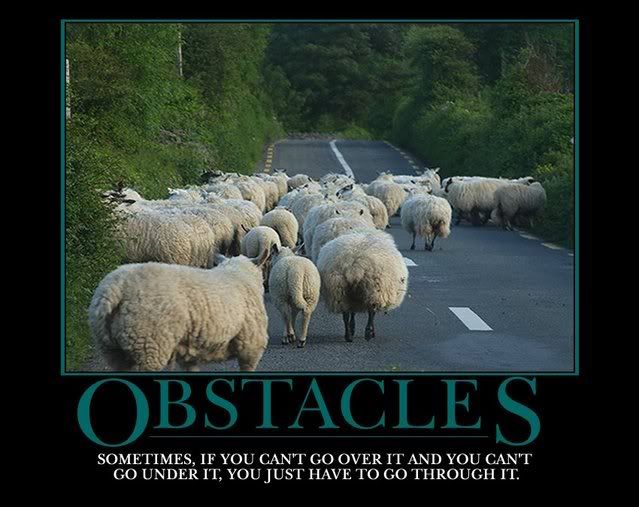 Obstacles.jpg