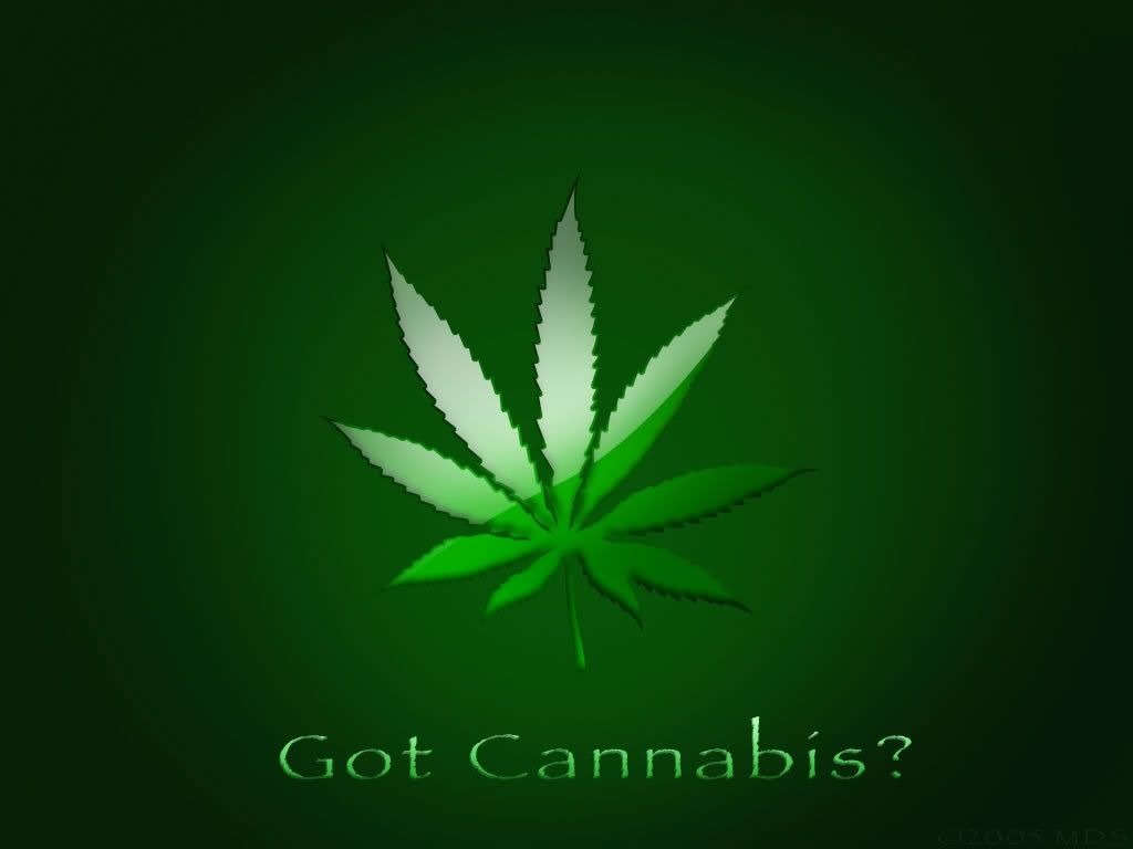 Got Cannabis Wallpaper