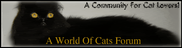 A World Of Cats Forum