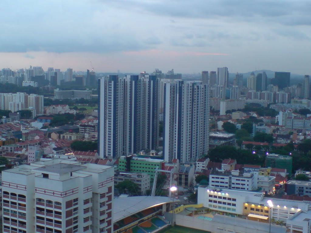 DSC00959.jpg