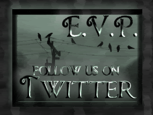 E.V.P. Twitter