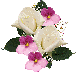 Lieve groetjes van Julien, Jose en Boke