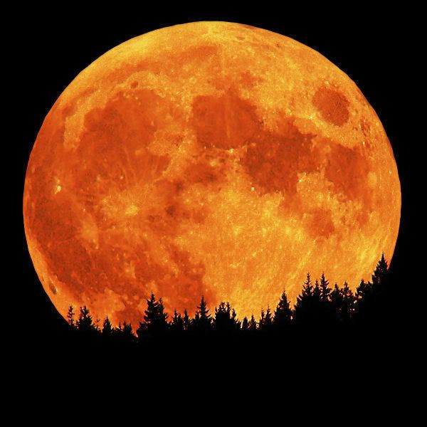 Blood Moon Pictures, Images and Photos