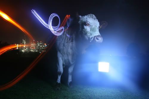 AussiE-media : The Pioneers of Light Graffiti 