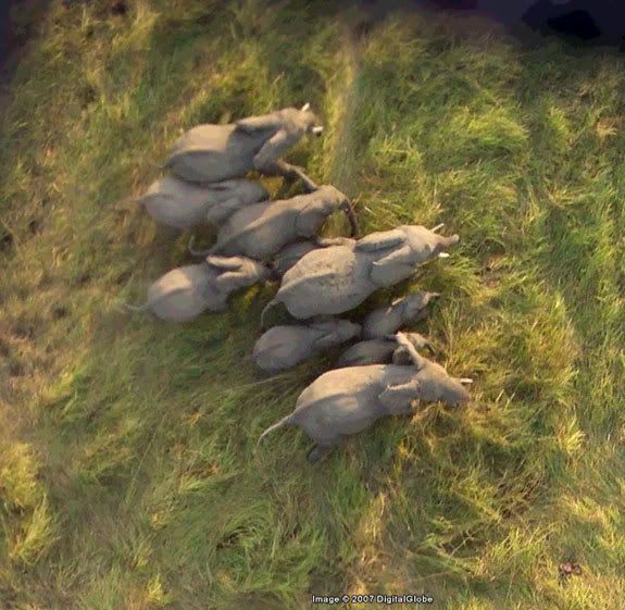 AussiE-media : The Strangest Sights in Google Earth