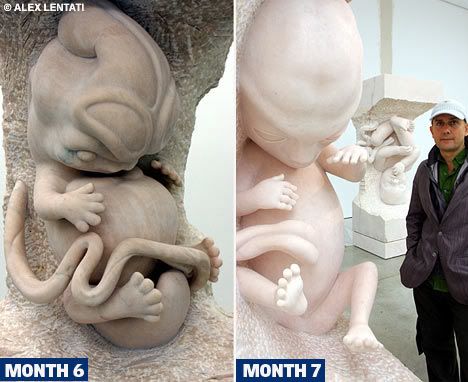 AussiE-media : Artists Amazing Wombs View Foetus Sculptures