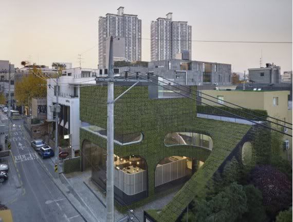 AussiE-media : Shop Covered In Grass