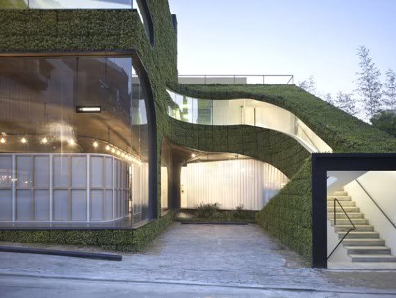 AussiE-media : Shop Covered In Grass