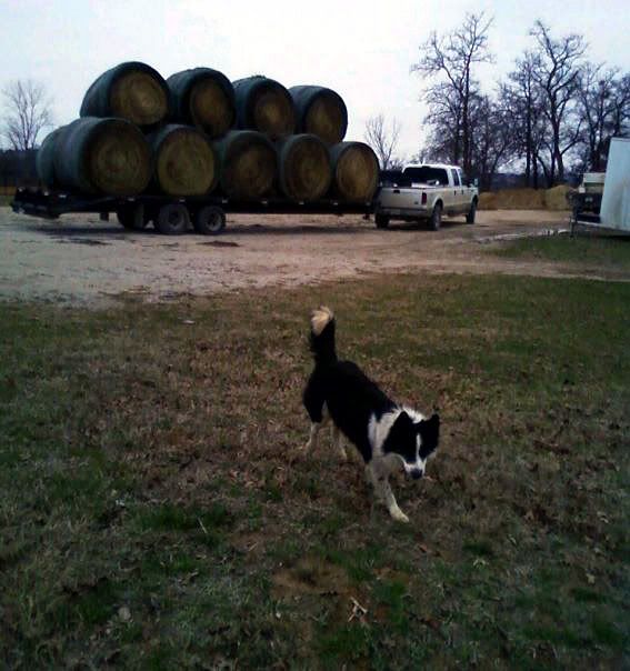 Hayload2010.jpg