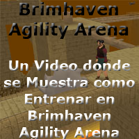 Brimhaven Agility Arena 