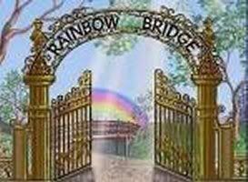rainbow_bridge01.jpg
