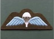 wings.jpg