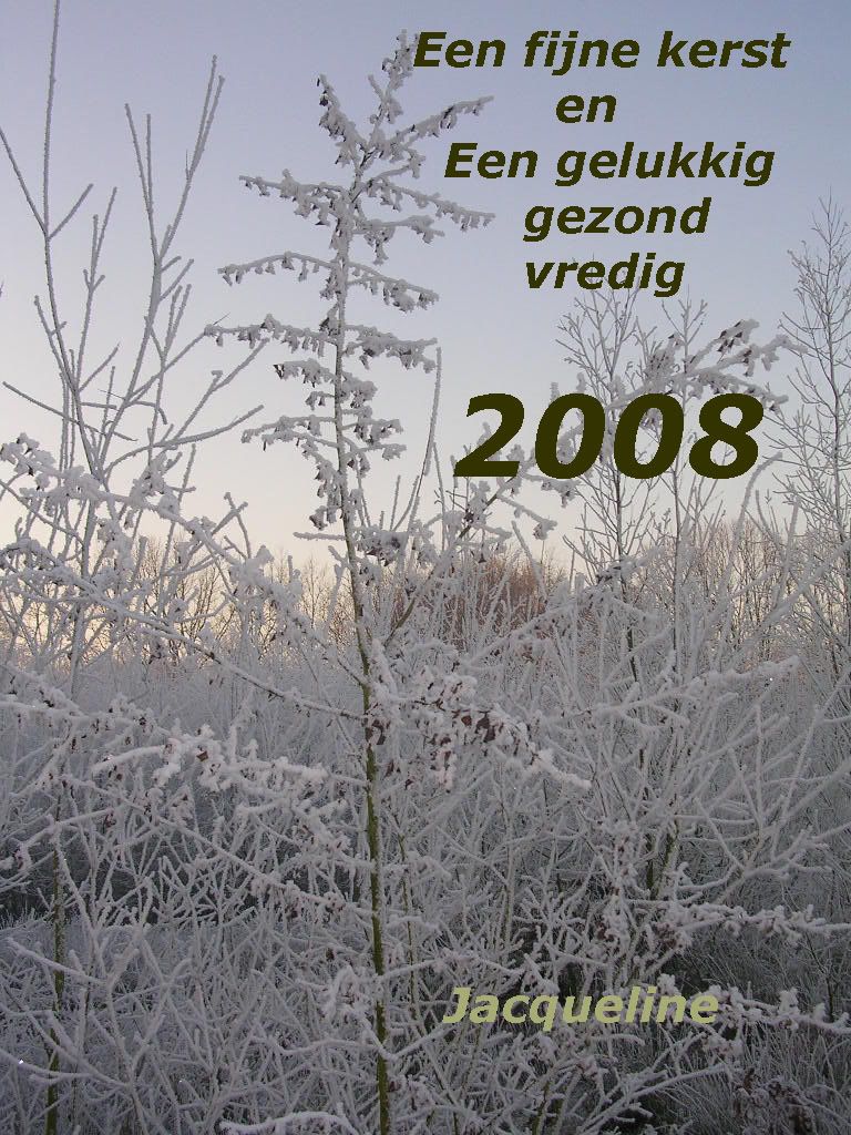 [img width=768 height=1024]http://i228.photobucket.com/albums/ee70/perpetje/kerst.jpg[/img]
