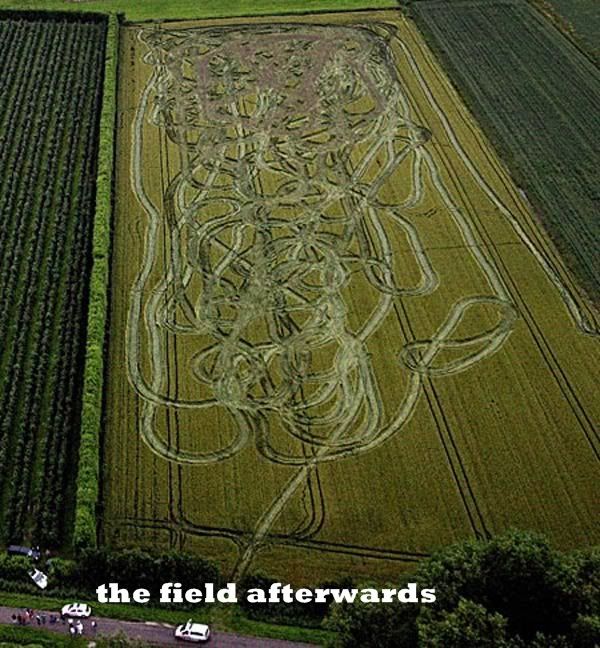 police-chase-guy-through-cornfield.jpg