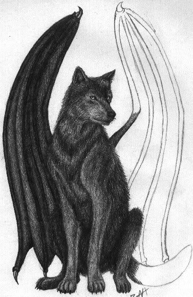 wolf.jpg