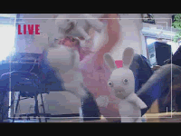 Forum Image: http://i228.photobucket.com/albums/ee81/fooly_cooly07/hahawtf.gif