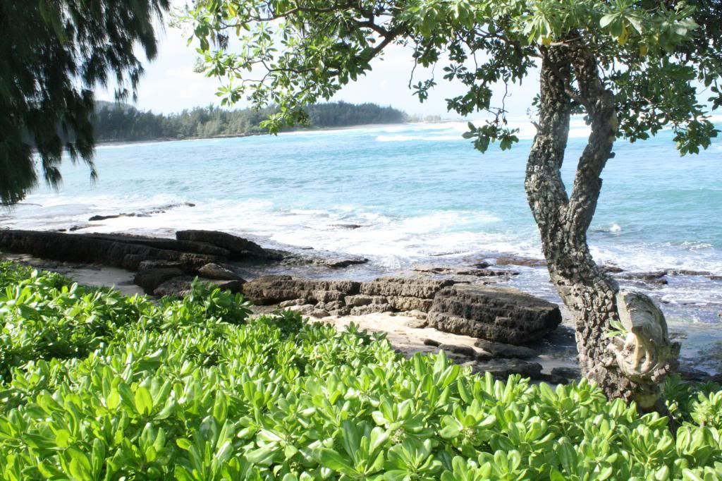 Scenery at Turtle Bay