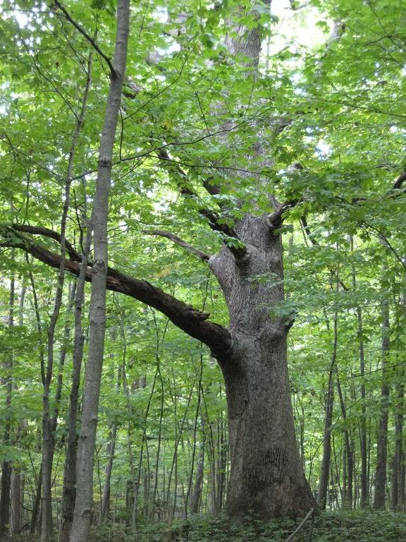 septiembre/SeptemberOur Spanishdict World September Photo Album