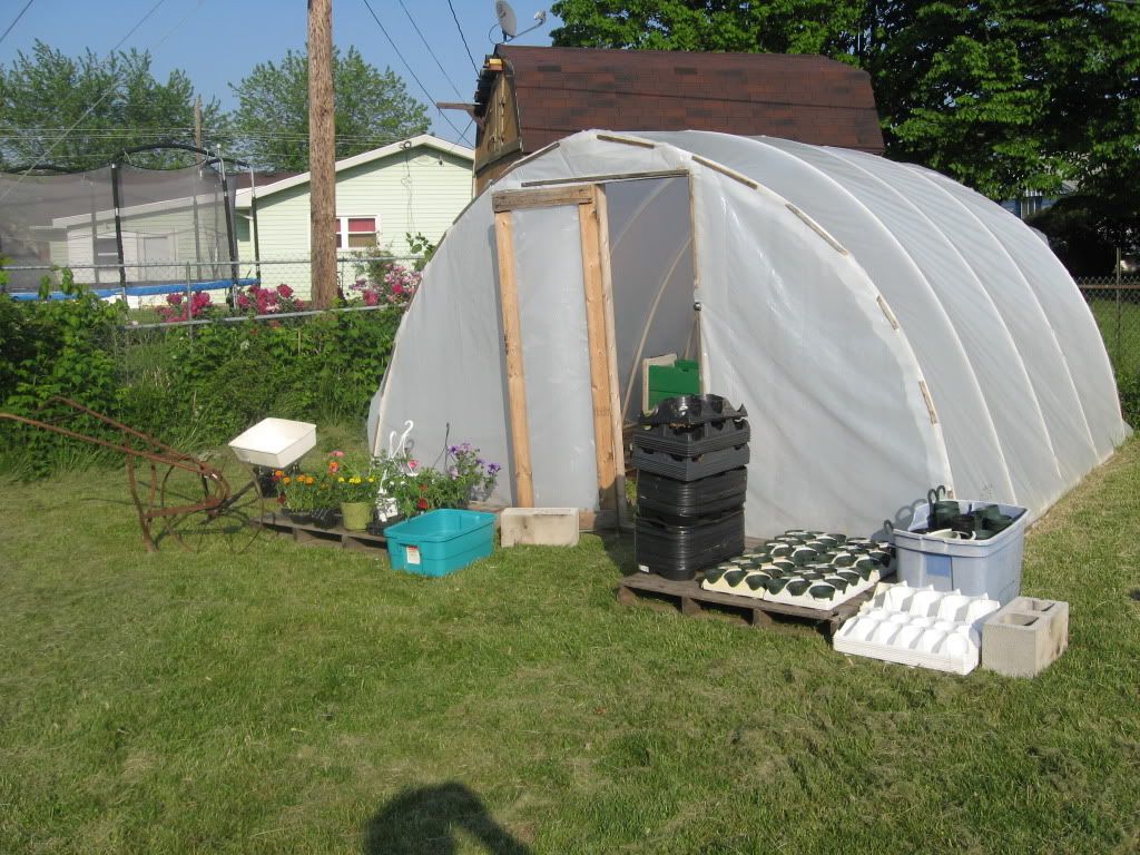 garden,greenhouse,growing,peppers