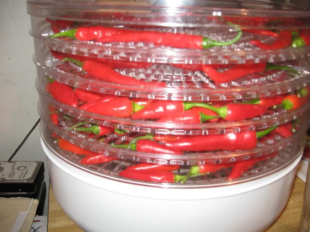 Peppers in the Dehydrator 5