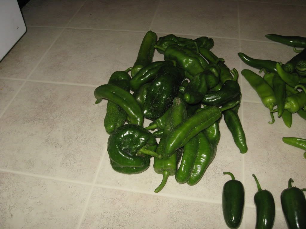 peppers hot peppers